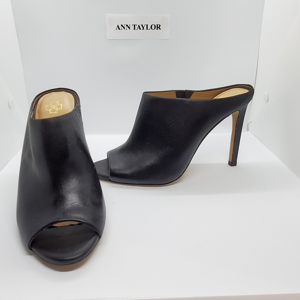 Ann Taylor Maya Leather Mules